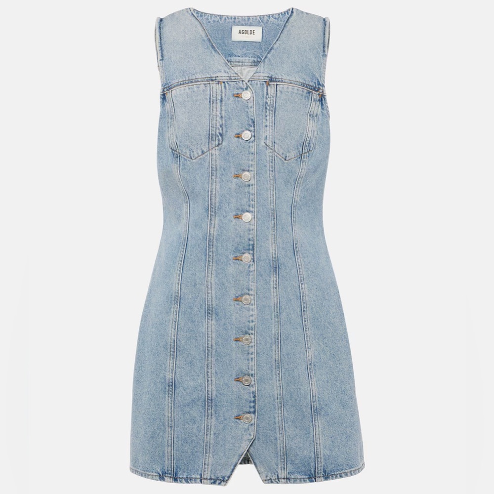 Agolde | Trina Denim Dress in Balance